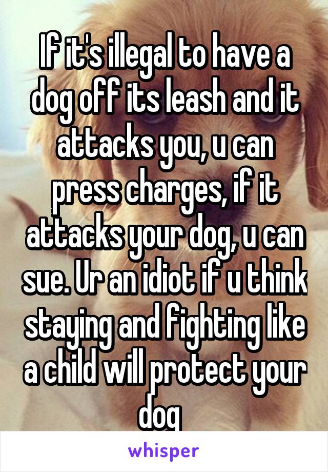 If it's illegal to have a dog off its leash and it attacks you, u can press charges, if it attacks your dog, u can sue. Ur an idiot if u think staying and fighting like a child will protect your dog  