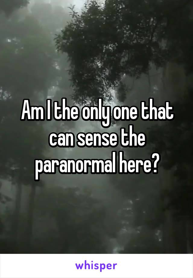 Am I the only one that can sense the paranormal here?