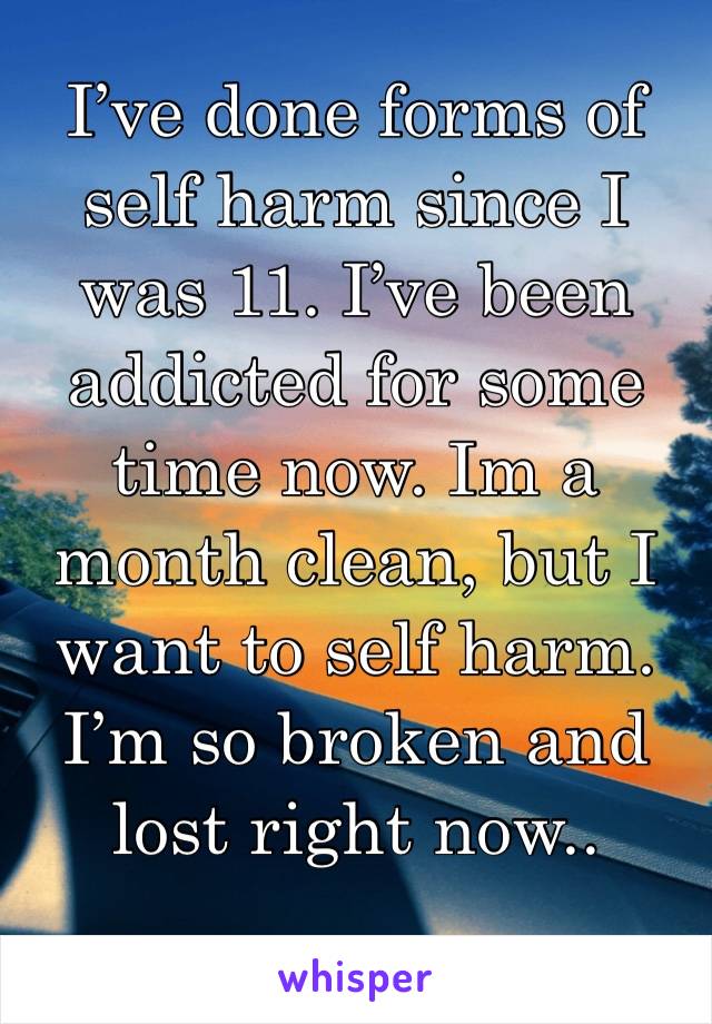 I’ve done forms of self harm since I was 11. I’ve been addicted for some time now. Im a month clean, but I want to self harm. I’m so broken and lost right now..