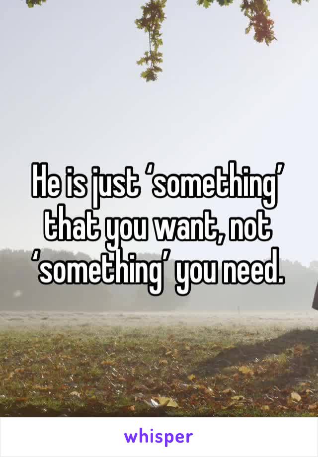 He is just ‘something’ that you want, not ‘something’ you need. 