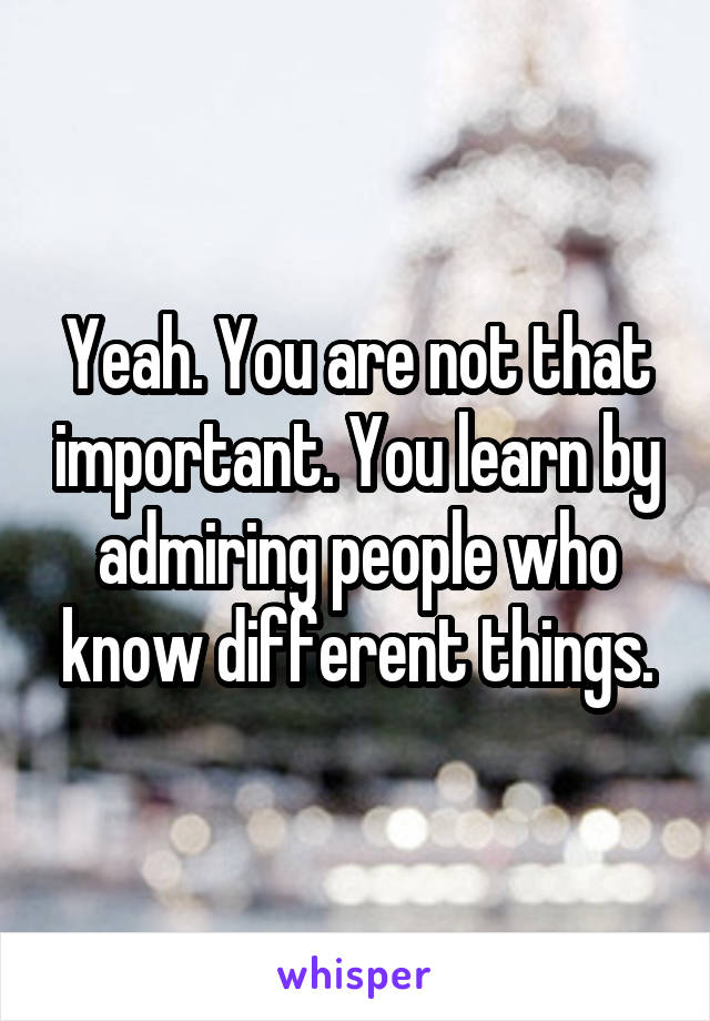 Yeah. You are not that important. You learn by admiring people who know different things.