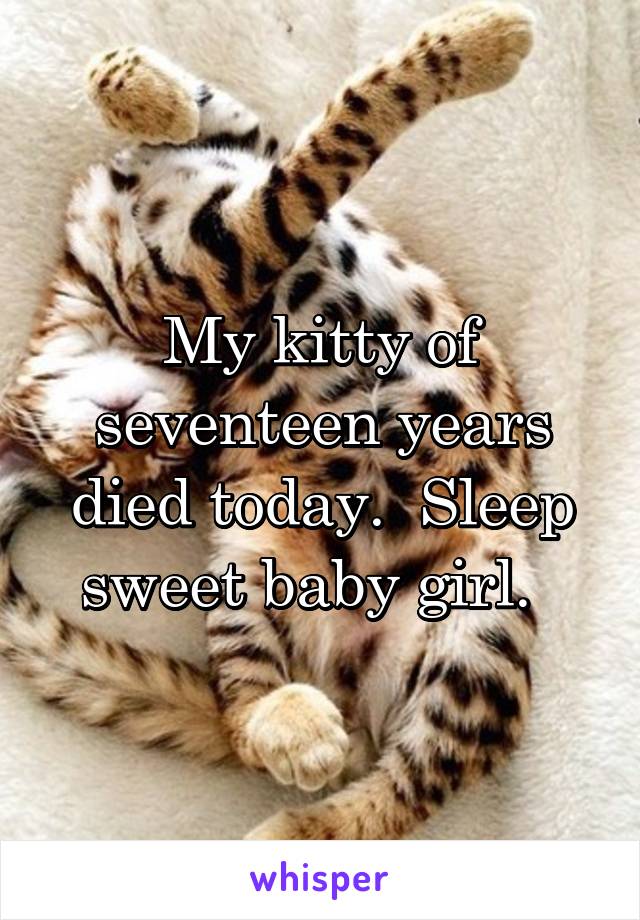 My kitty of seventeen years died today.  Sleep sweet baby girl.  
