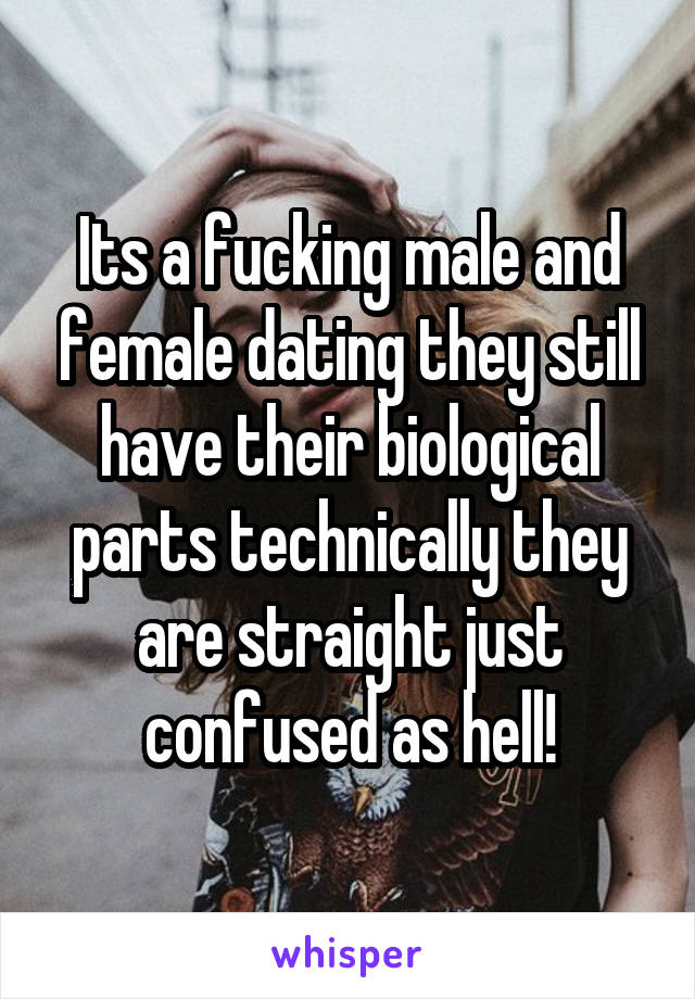 Its a fucking male and female dating they still have their biological parts technically they are straight just confused as hell!