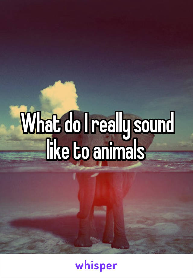 What do I really sound like to animals 