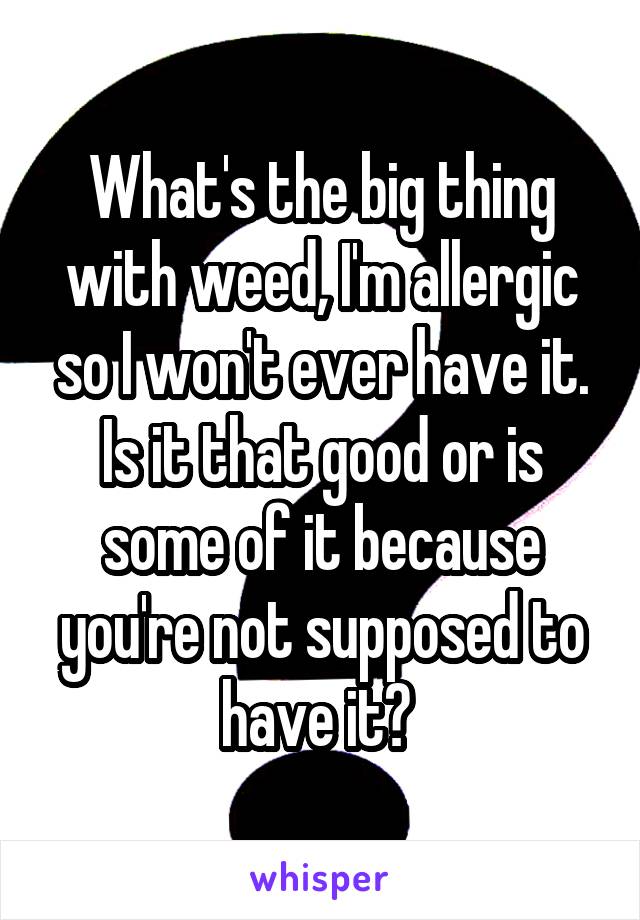 What's the big thing with weed, I'm allergic so I won't ever have it. Is it that good or is some of it because you're not supposed to have it? 
