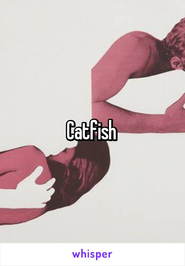 Catfish 