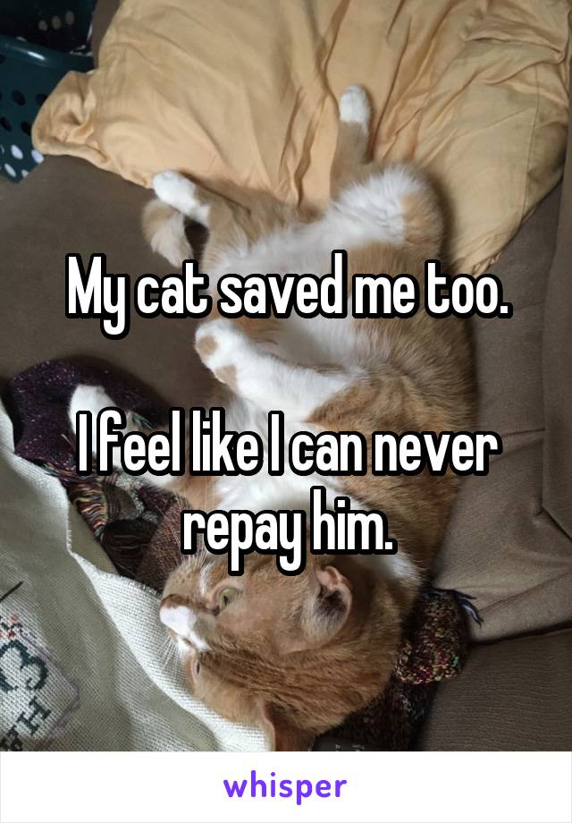 My cat saved me too.

I feel like I can never repay him.