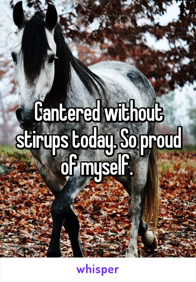 Cantered without stirups today. So proud of myself. 