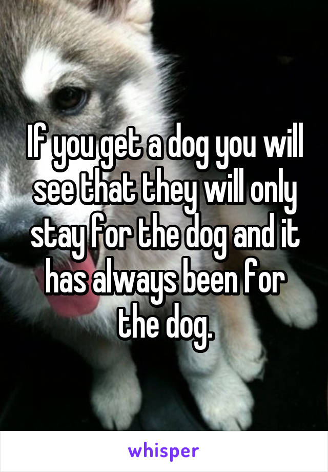 If you get a dog you will see that they will only stay for the dog and it has always been for the dog.