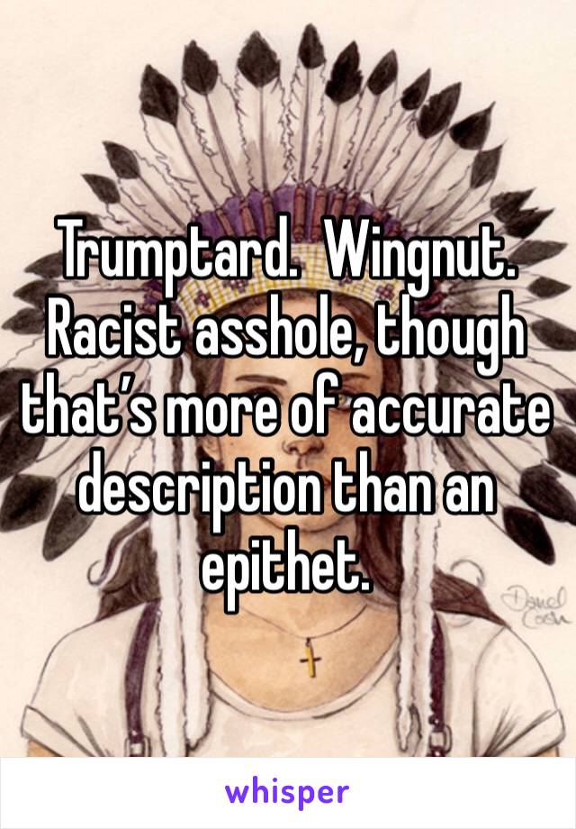 Trumptard.  Wingnut.  Racist asshole, though that’s more of accurate description than an epithet.