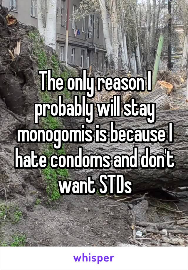The only reason I probably will stay monogomis is because I hate condoms and don't want STDs