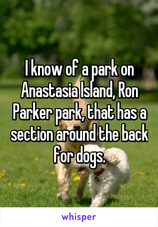 I know of a park on Anastasia Island, Ron Parker park, that has a section around the back for dogs.