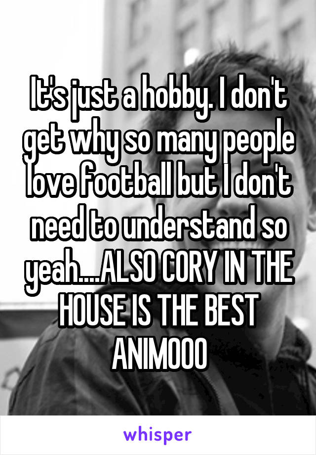 It's just a hobby. I don't get why so many people love football but I don't need to understand so yeah....ALSO CORY IN THE HOUSE IS THE BEST ANIMOOO