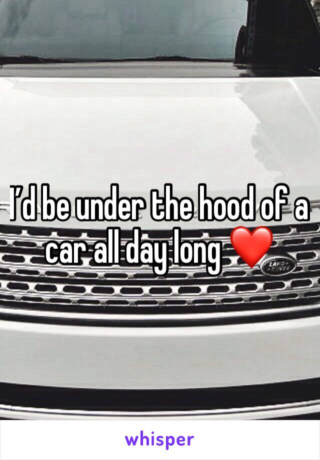 I’d be under the hood of a car all day long ❤️