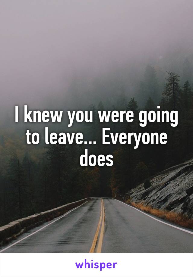 I knew you were going to leave... Everyone does