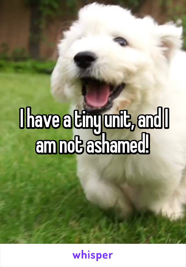 I have a tiny unit, and I am not ashamed! 