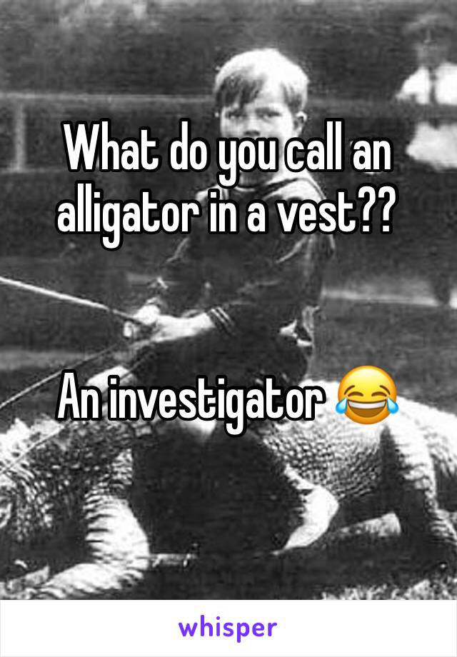 What do you call an alligator in a vest?? 


An investigator 😂