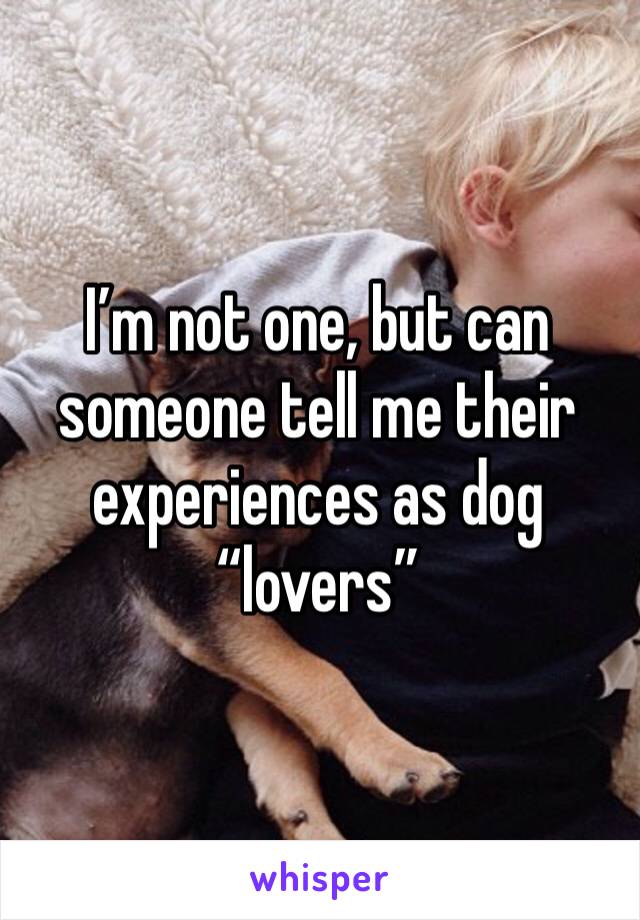 I’m not one, but can someone tell me their experiences as dog “lovers”