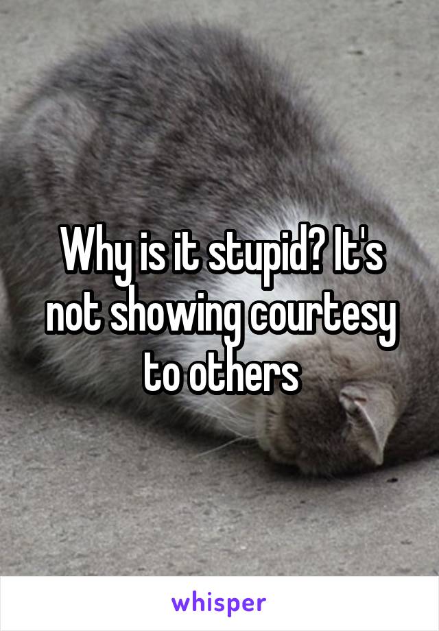 Why is it stupid? It's not showing courtesy to others