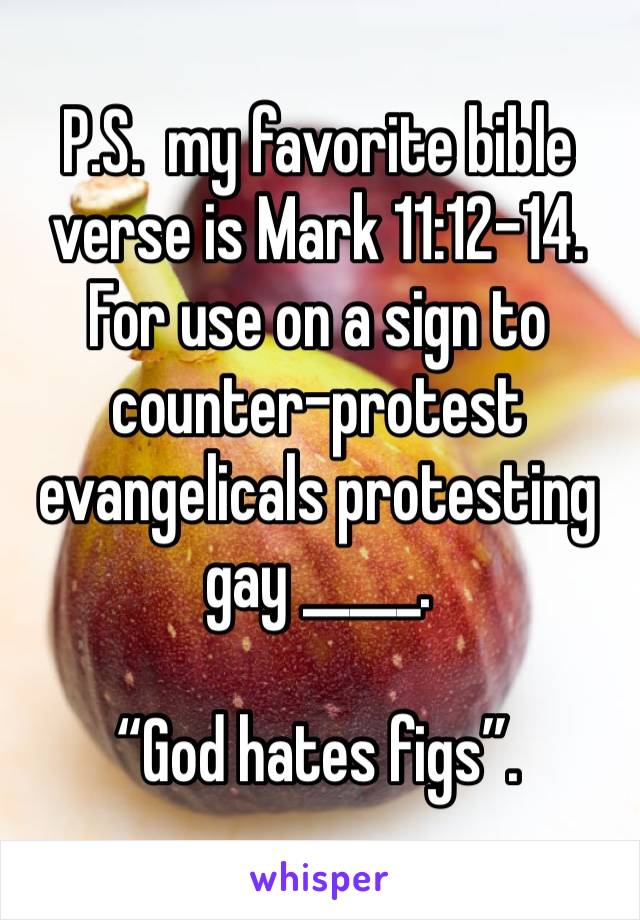 P.S.  my favorite bible verse is Mark 11:12-14. For use on a sign to counter-protest  evangelicals protesting gay _____.  

“God hates figs”.