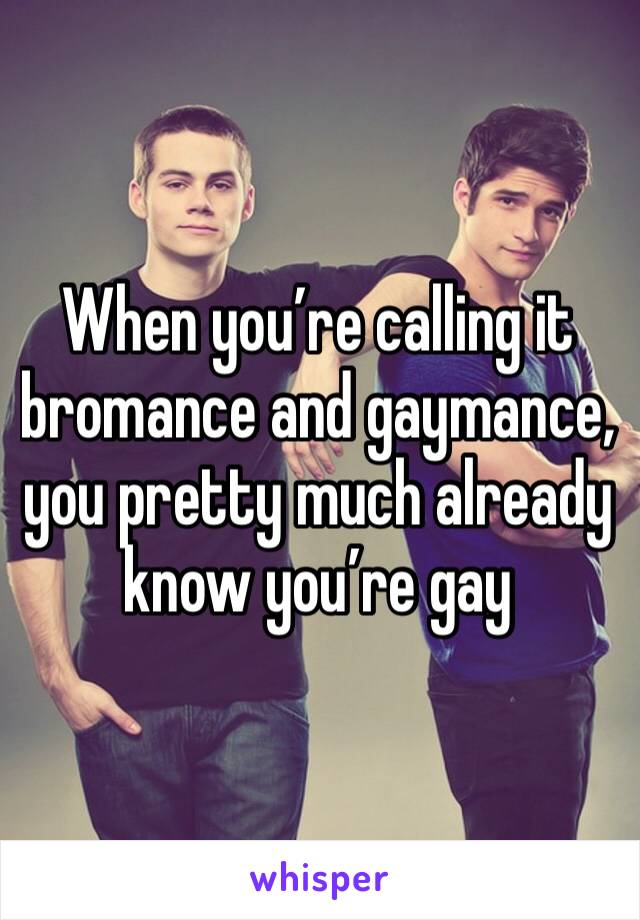 When you’re calling it bromance and gaymance, you pretty much already know you’re gay