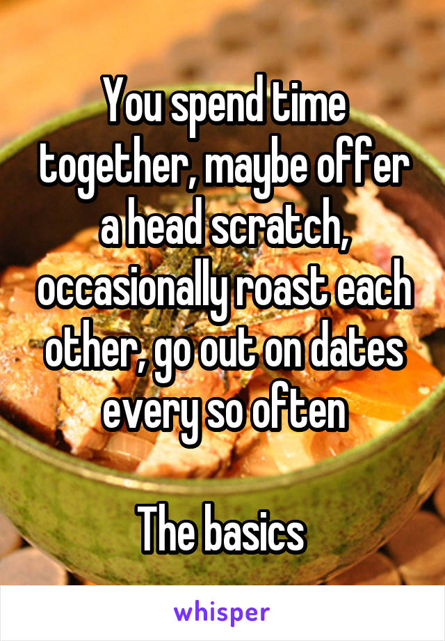 You spend time together, maybe offer a head scratch, occasionally roast each other, go out on dates every so often

The basics 
