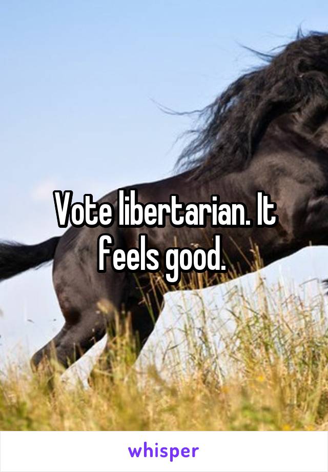 Vote libertarian. It feels good. 