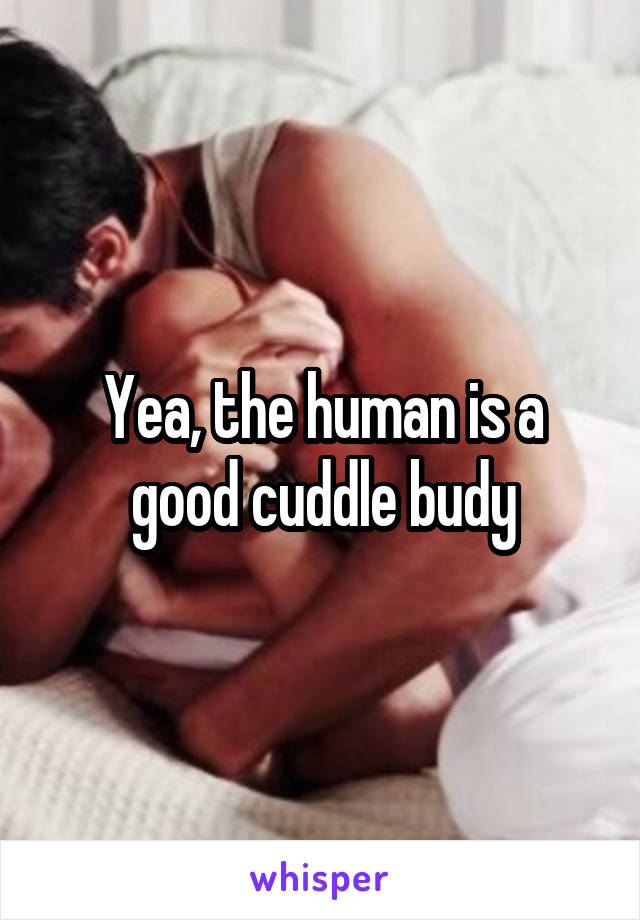 Yea, the human is a good cuddle budy