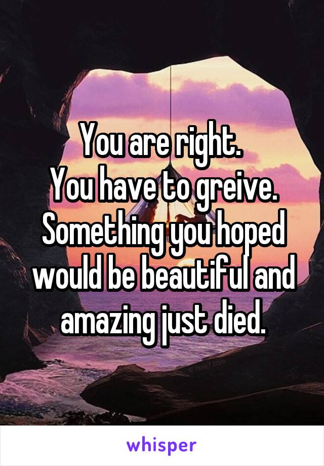 You are right. 
You have to greive. Something you hoped would be beautiful and amazing just died.