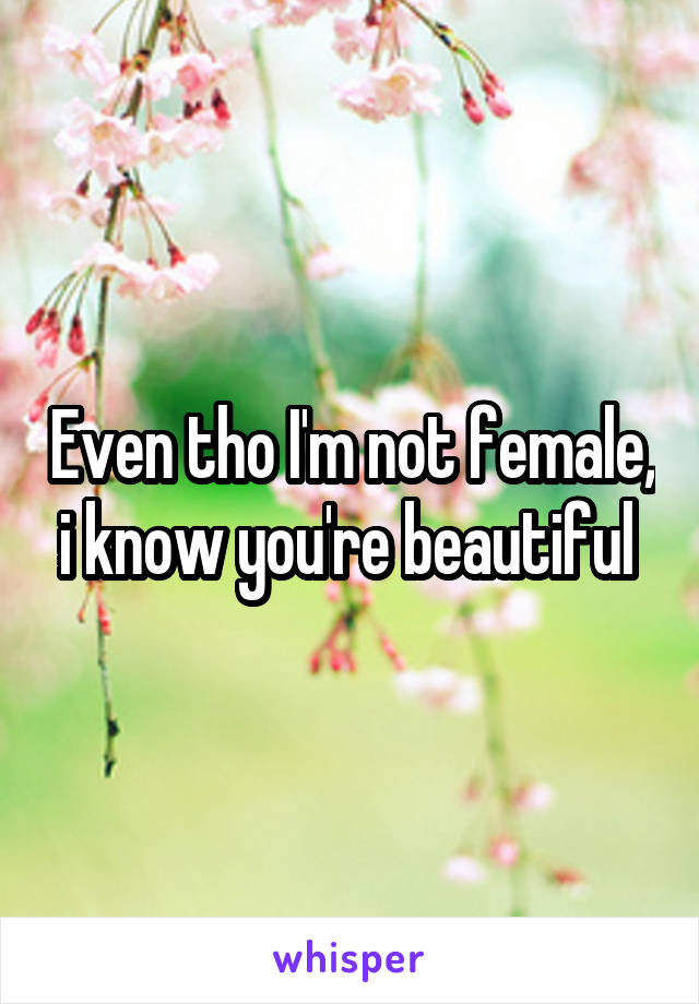 Even tho I'm not female, i know you're beautiful 