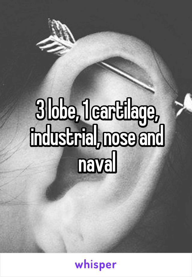 3 lobe, 1 cartilage, industrial, nose and naval