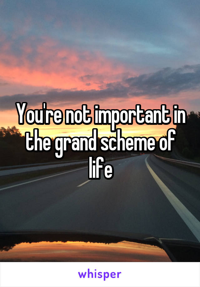You're not important in the grand scheme of life