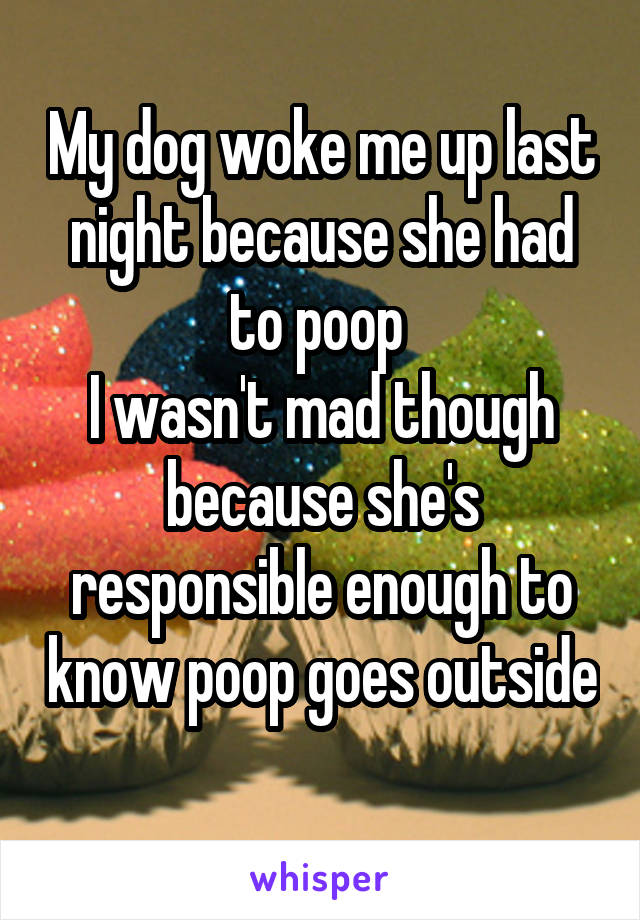 My dog woke me up last night because she had to poop 
I wasn't mad though because she's responsible enough to know poop goes outside 