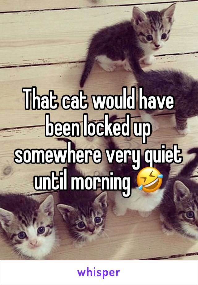 That cat would have been locked up somewhere very quiet until morning 🤣