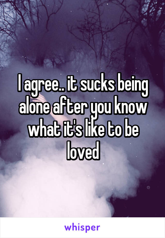 I agree.. it sucks being alone after you know what it's like to be loved