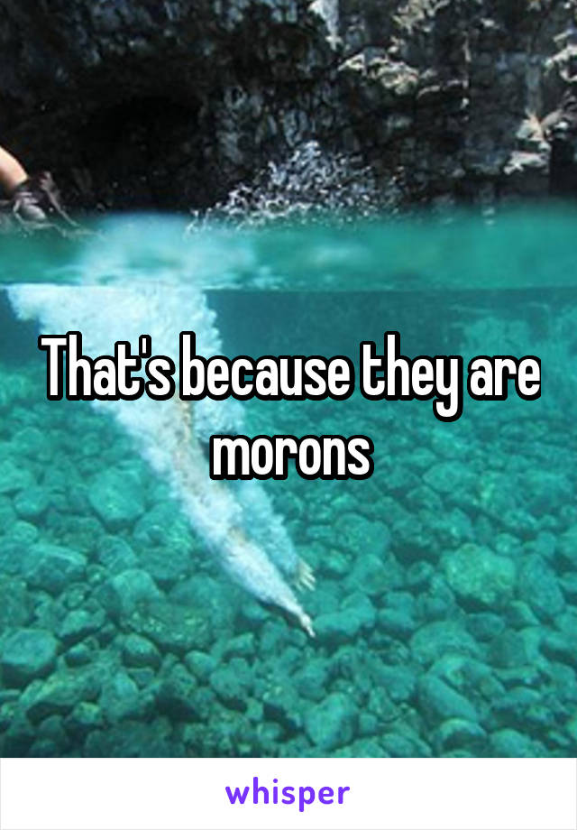 That's because they are morons