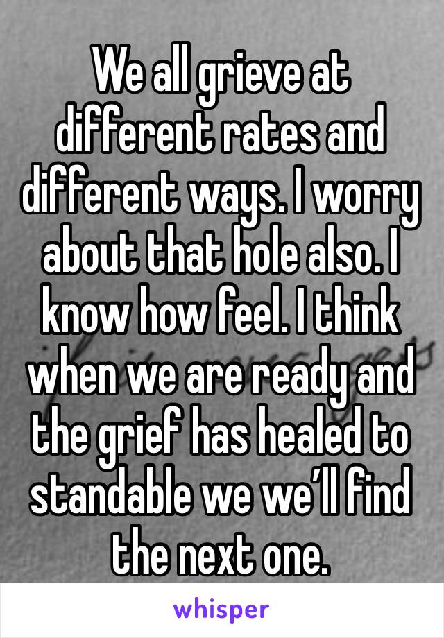 We all grieve at different rates and different ways. I worry about that hole also. I know how feel. I think when we are ready and the grief has healed to standable we we’ll find the next one. 