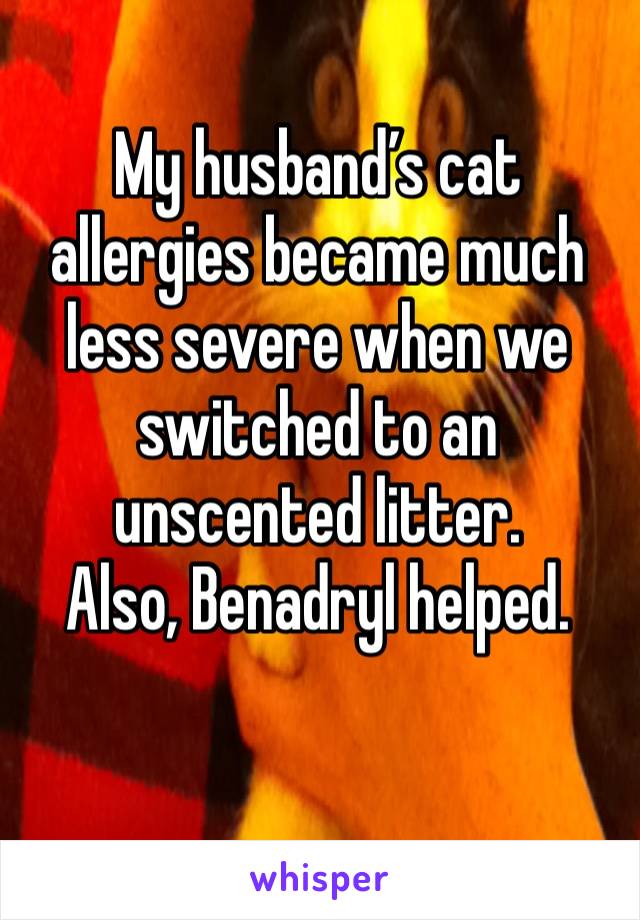 My husband’s cat allergies became much less severe when we switched to an
unscented litter.
Also, Benadryl helped.