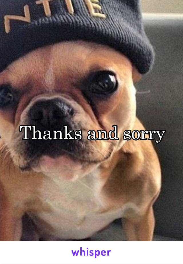 Thanks and sorry