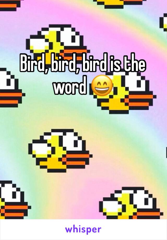 Bird, bird, bird is the word 😄