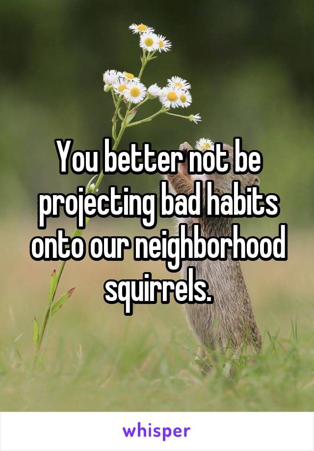 You better not be projecting bad habits onto our neighborhood squirrels.