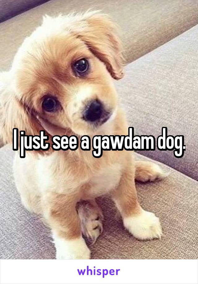 I just see a gawdam dog.