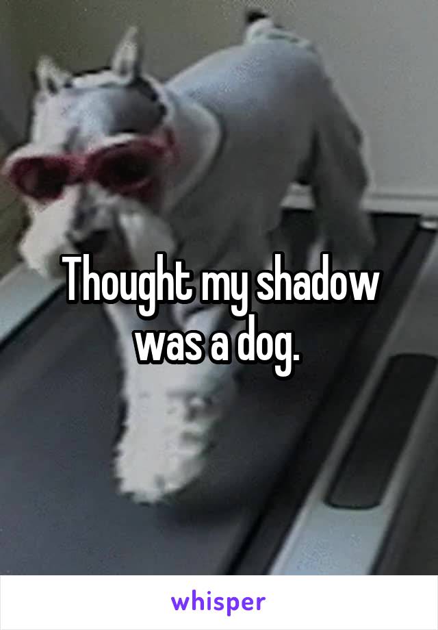 Thought my shadow was a dog. 