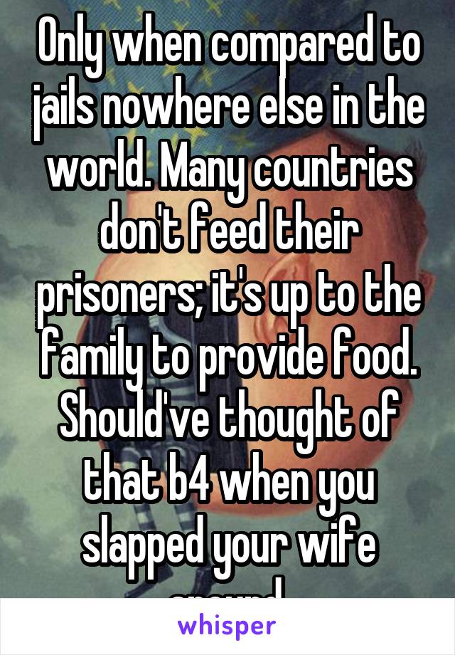 Only when compared to jails nowhere else in the world. Many countries don't feed their prisoners; it's up to the family to provide food. Should've thought of that b4 when you slapped your wife around 