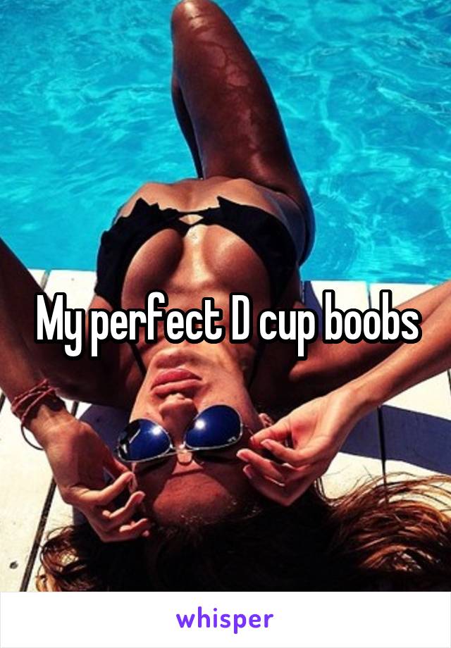 My perfect D cup boobs