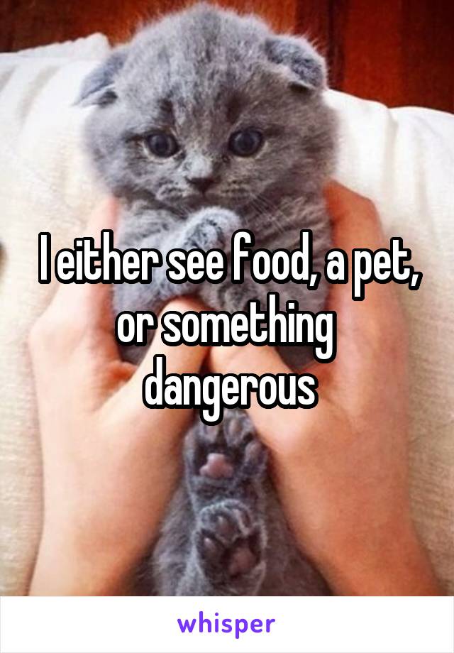 I either see food, a pet, or something  dangerous
