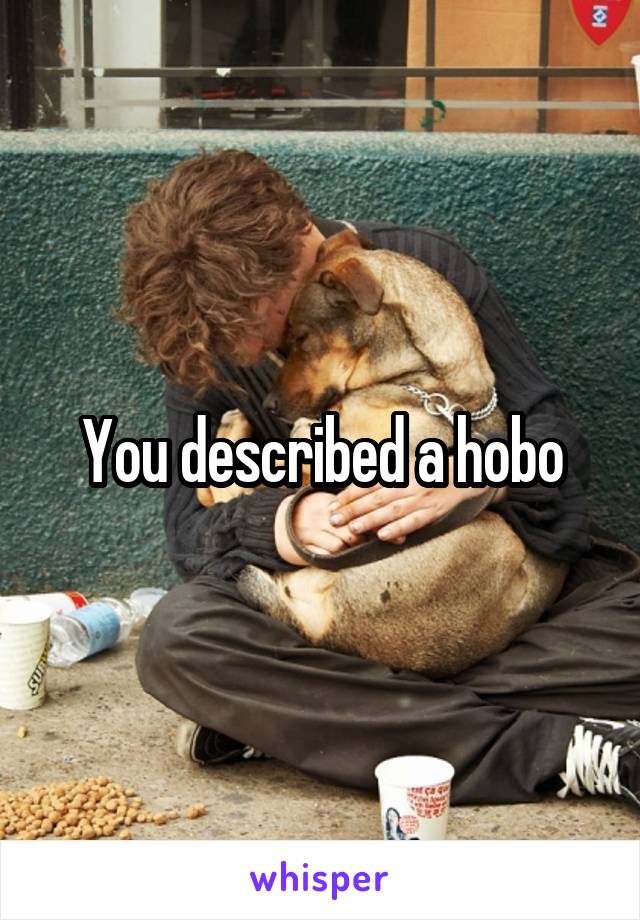 You described a hobo
