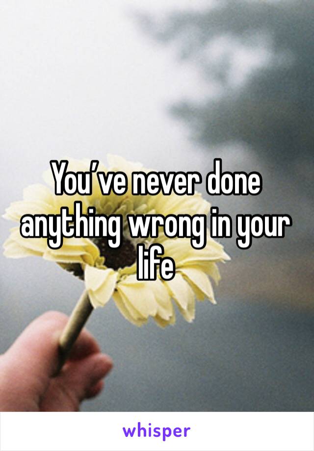 You’ve never done anything wrong in your life