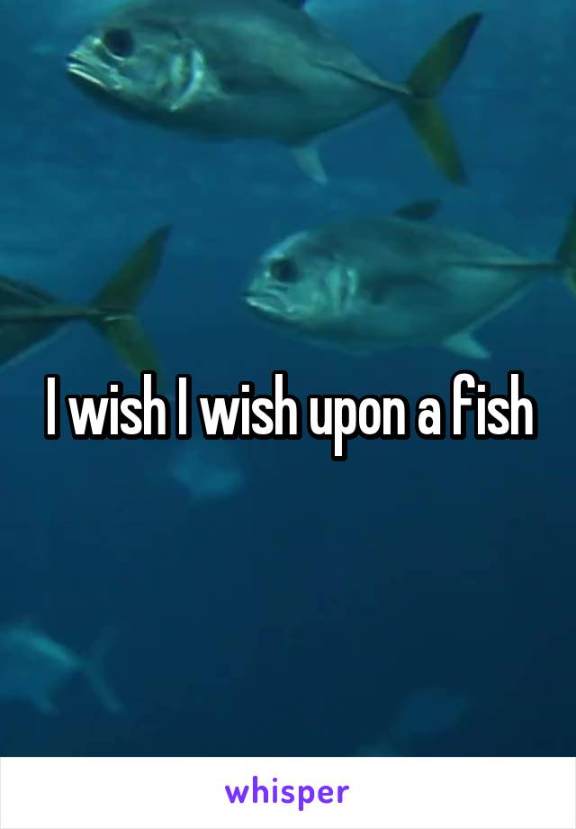 I wish I wish upon a fish