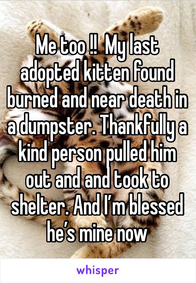 Me too !!  My last adopted kitten found burned and near death in a dumpster. Thankfully a kind person pulled him out and and took to shelter. And I’m blessed he’s mine now 